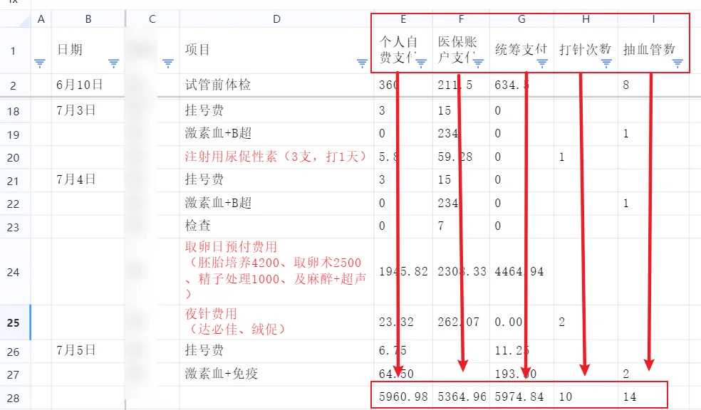 试管代生优势解析，代怀费用明细与试管婴儿选择指南